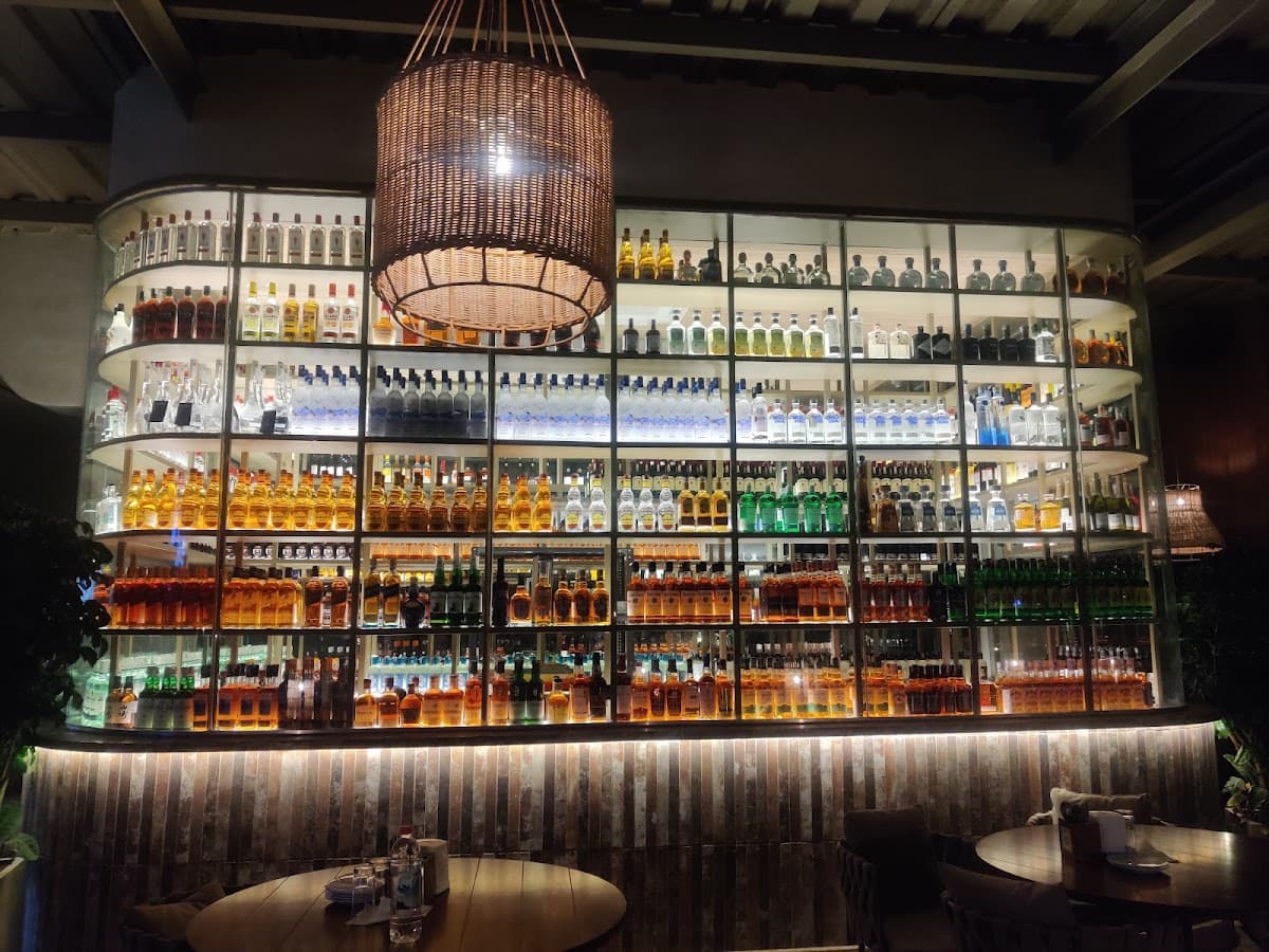 Tropika Brewing Co. - Photo 5