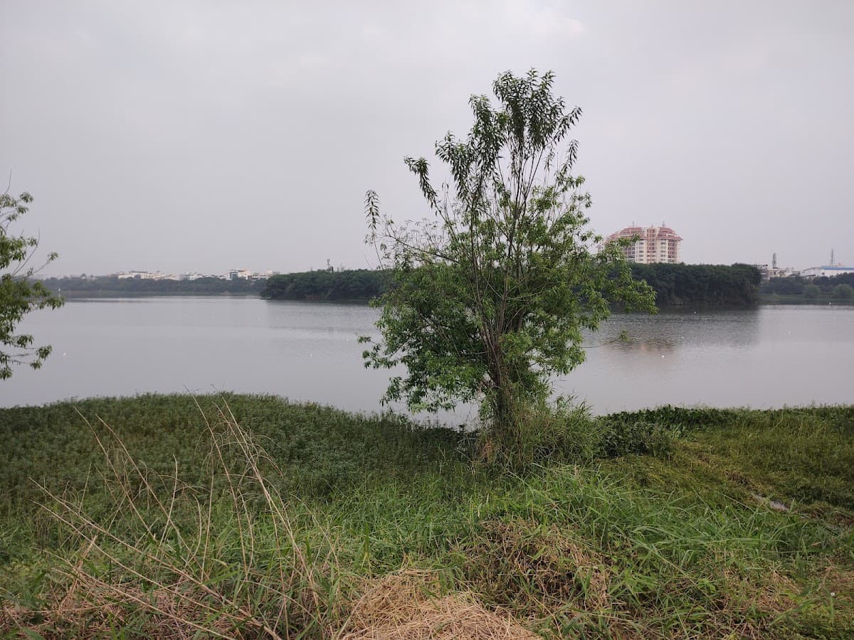 Agara Lake - Photo 6