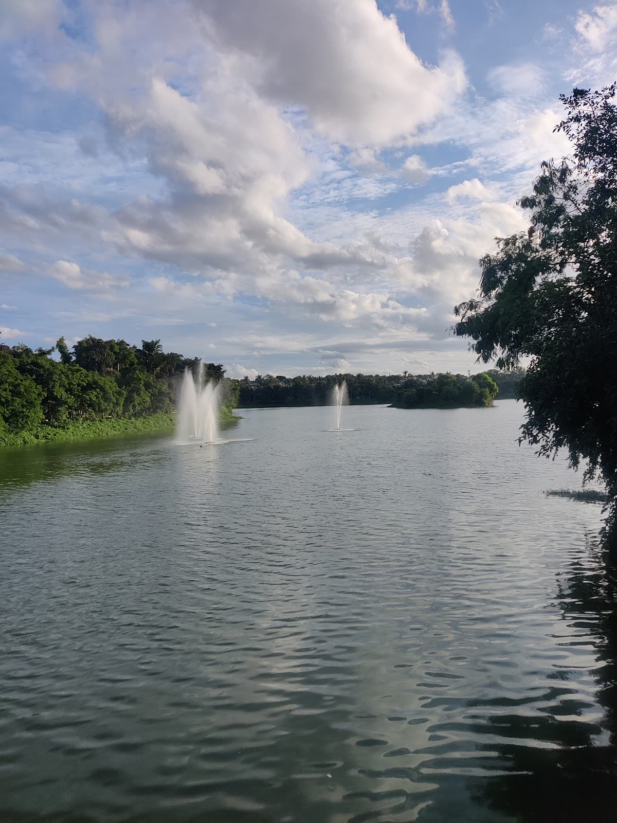 Allalasandra Lake - Photo 3