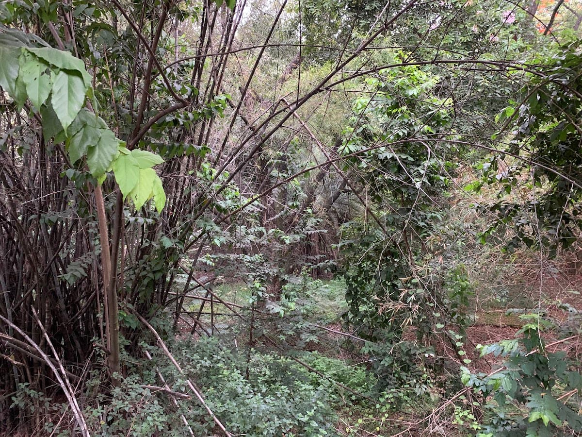 Cariappa Memorial Park - Photo 3