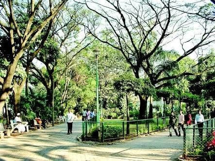 Coles Park - Photo 4