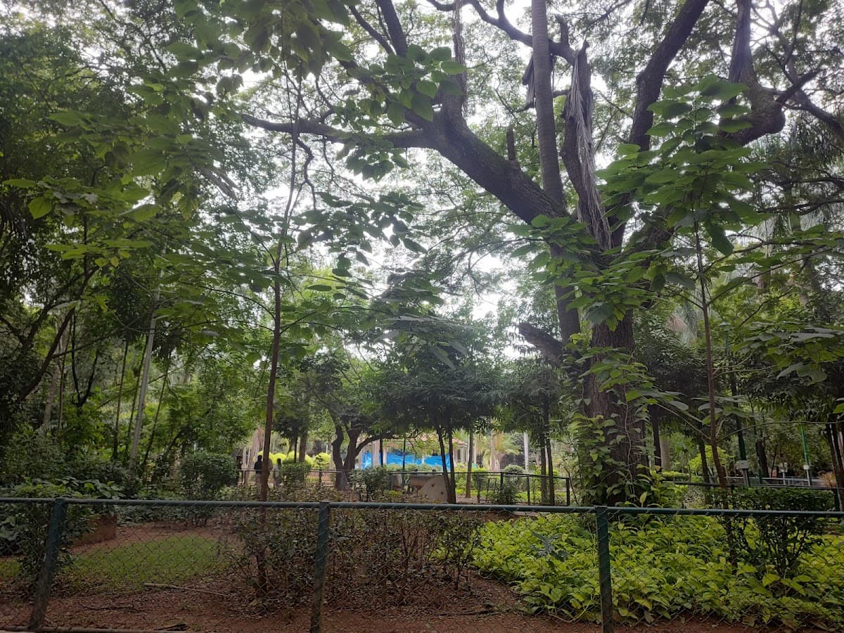 Coles Park - Photo 5