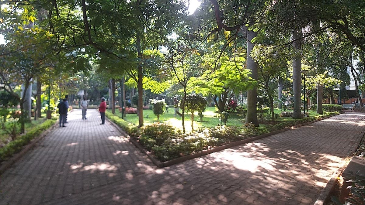 Coles Park - Photo 6