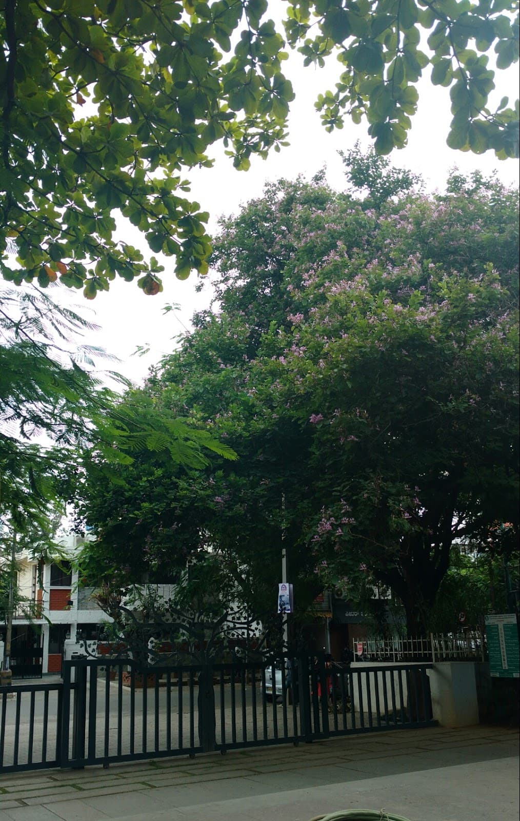 Cornerstone Park - Photo 5