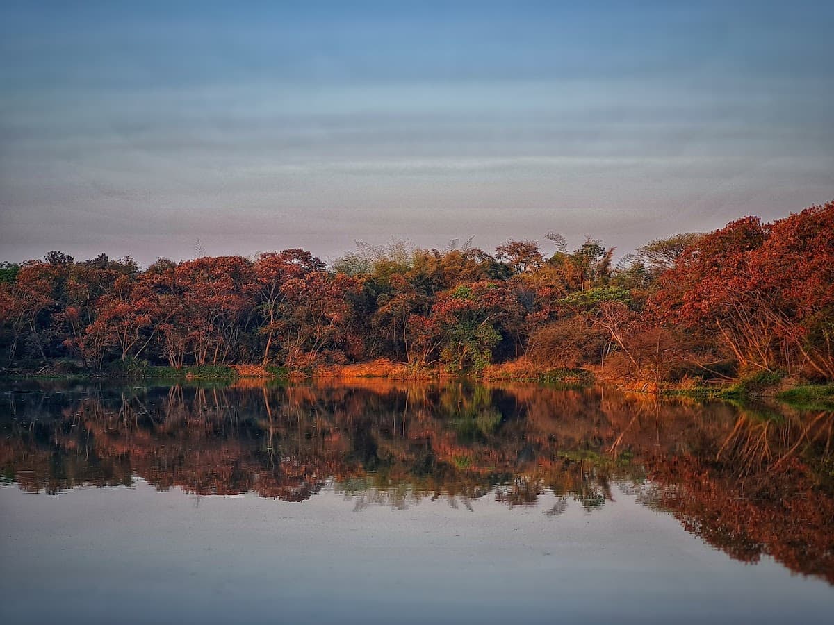 Hebbal Lake - Photo 2
