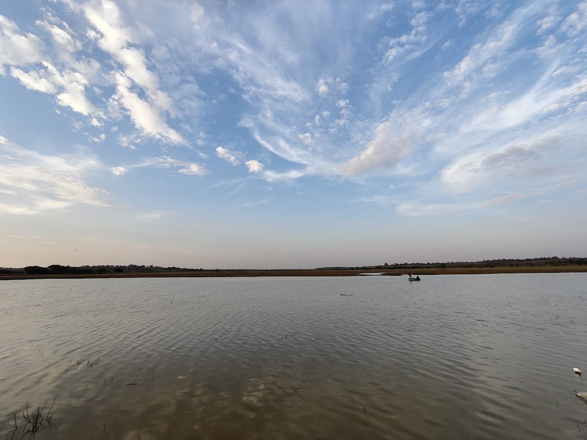 Hesaraghatta Lake - Photo 4