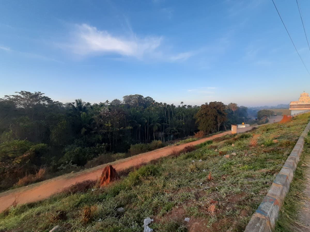 Hesaraghatta Lake - Photo 5