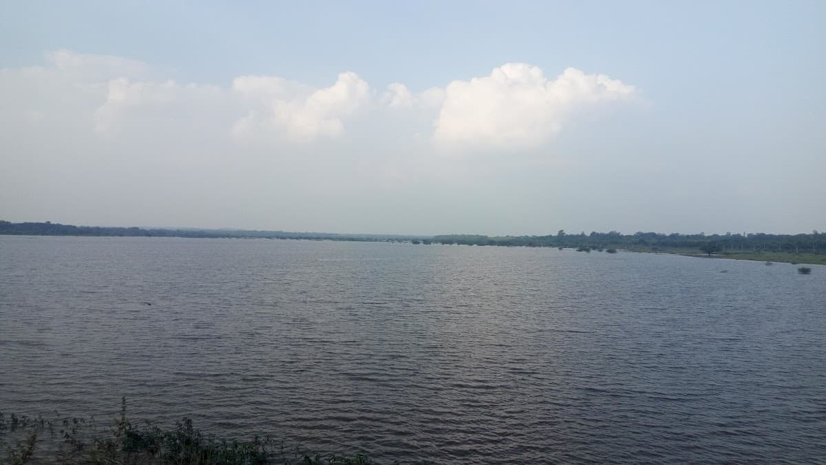 Hesaraghatta Lake - Photo 6