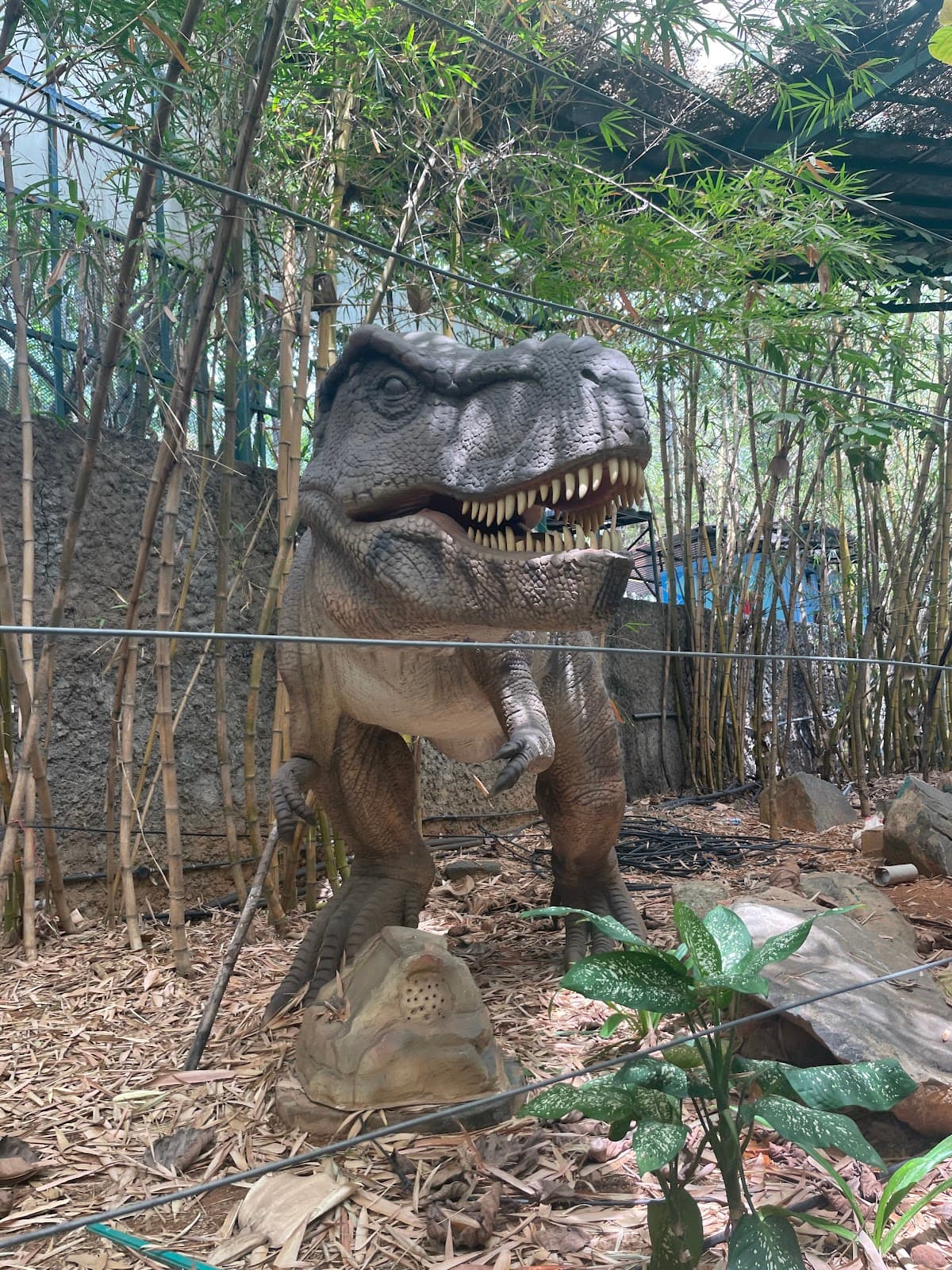 Innovative Film City - Photo 5