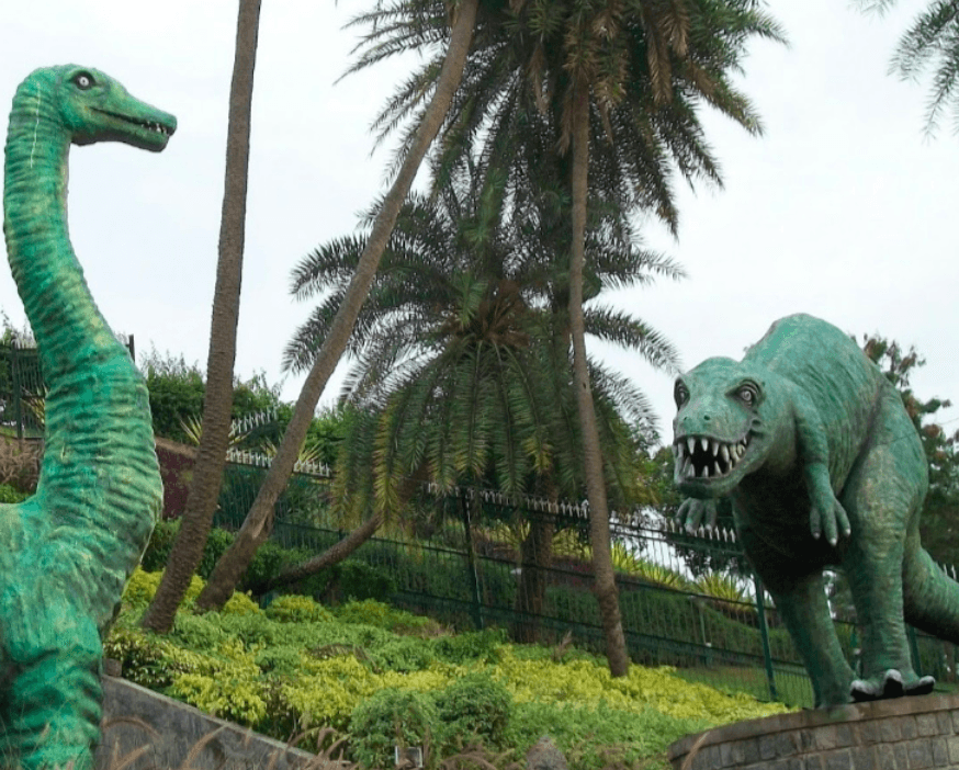 Jinke Park - Photo 4