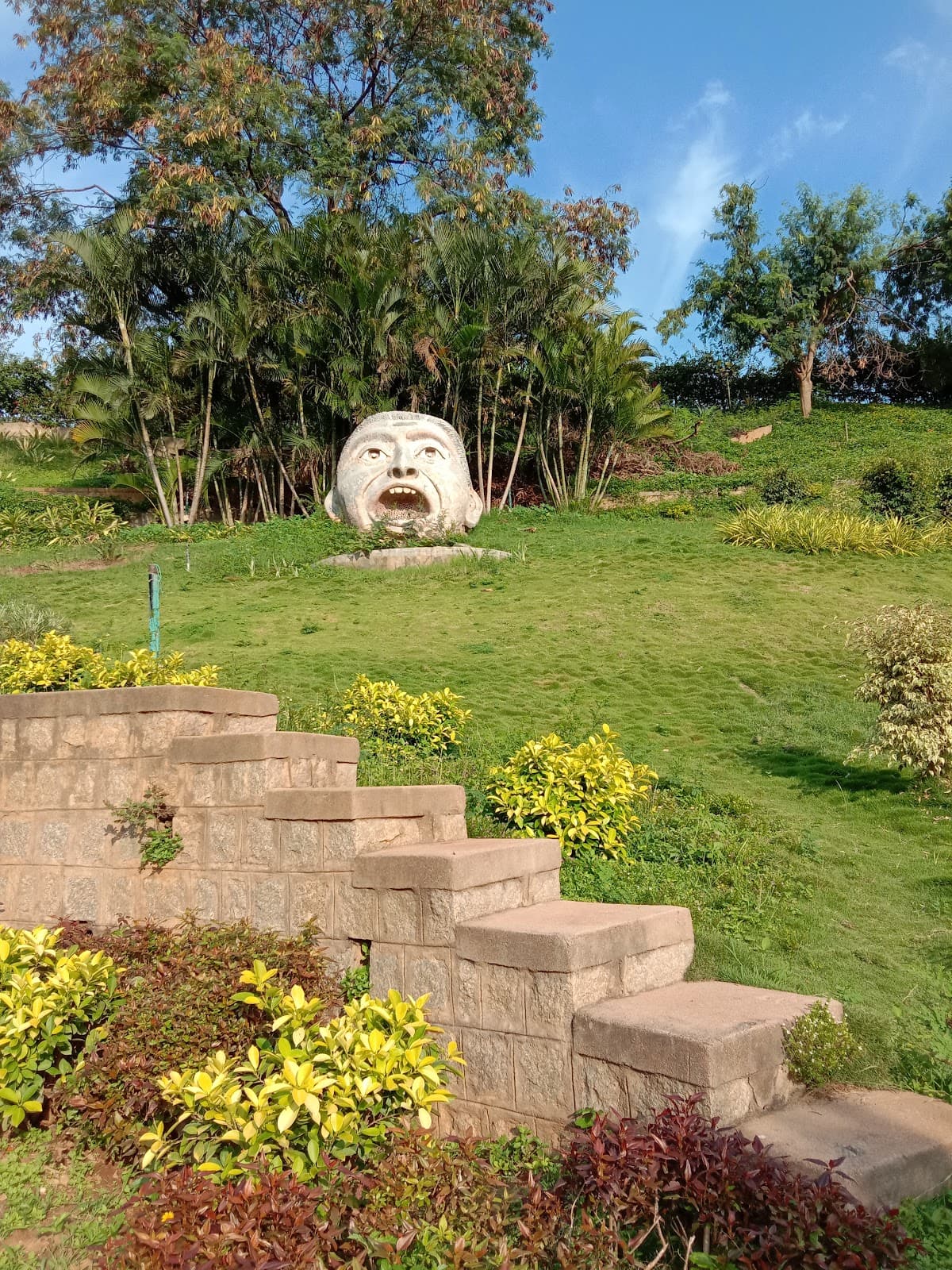 Jinke Park - Photo 6