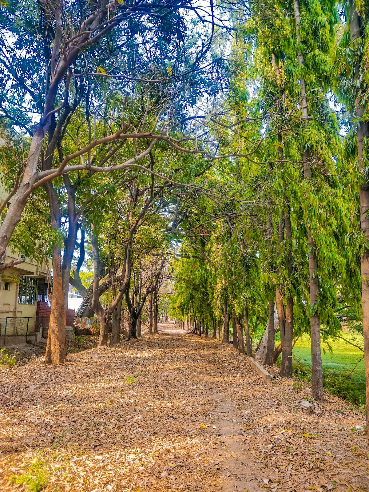 Kengeri Lake - Photo 3
