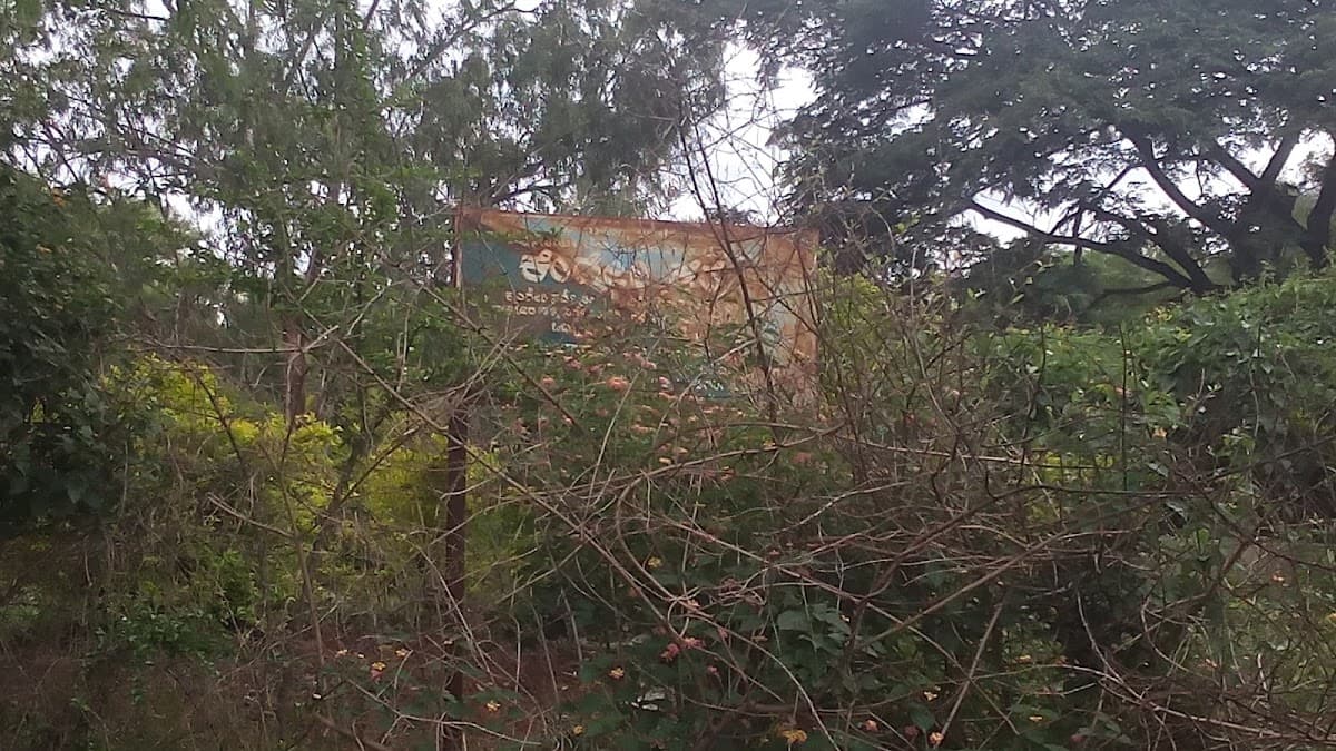 Kengeri Lake - Photo 5