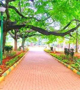 M.N. Krishna Rao Park - Photo 2