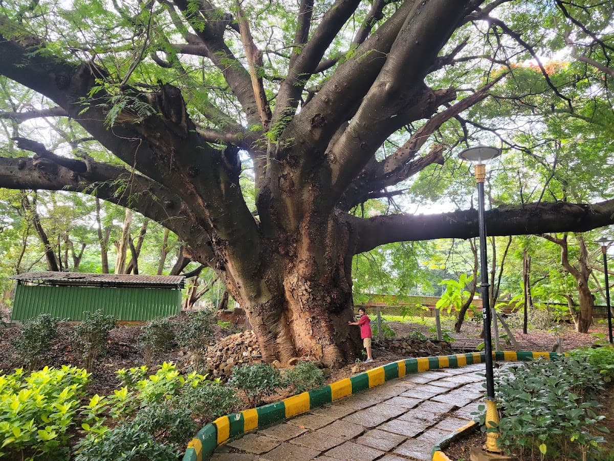 M.N. Krishna Rao Park - Photo 5