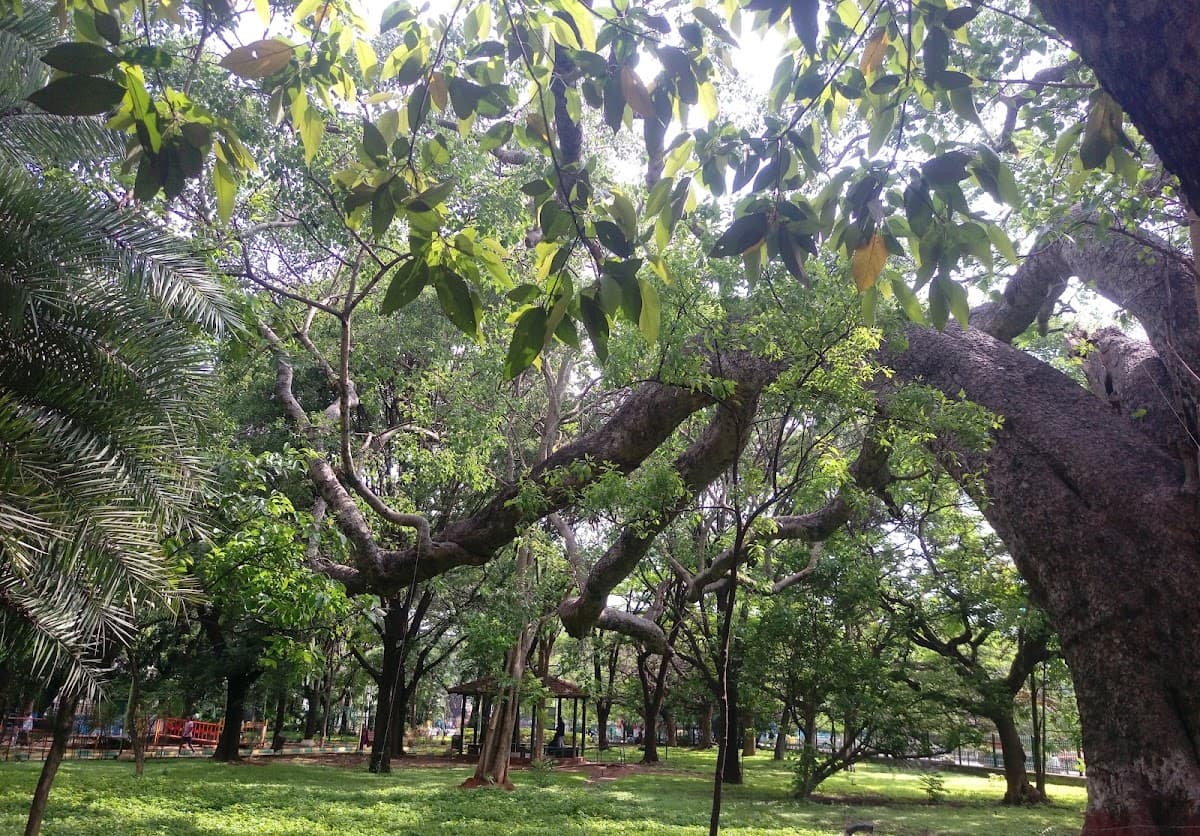 M.N. Krishna Rao Park - Photo 6