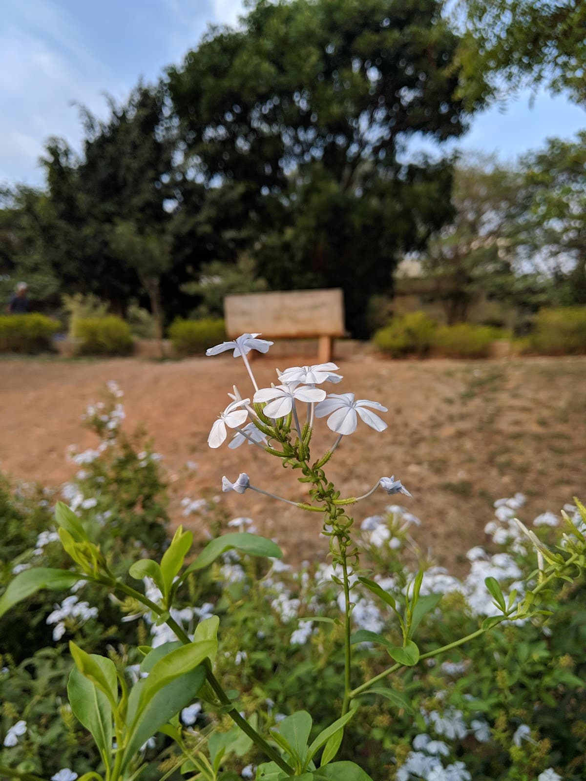 Nisarga Park - Photo 6