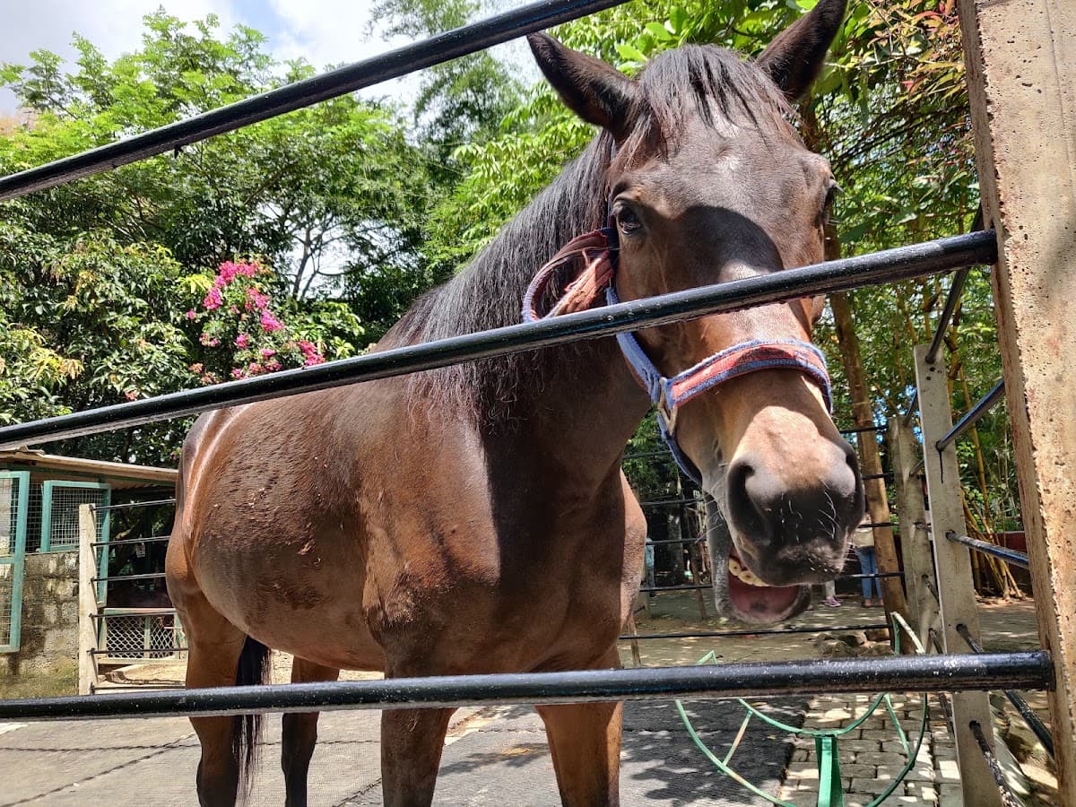 Prani Pet Sanctuary - Photo 5