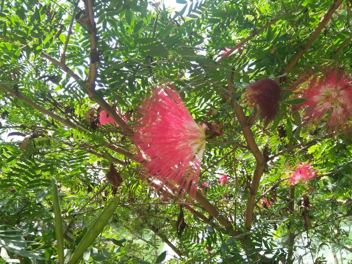 Puttenahalli Lake Park - Photo 3