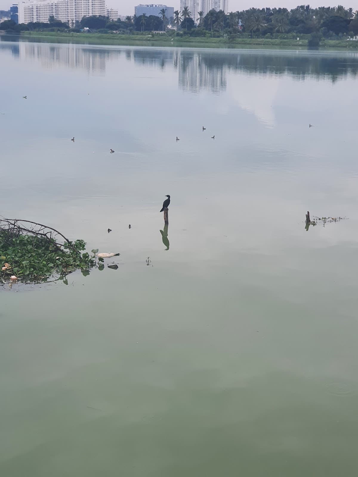 Rachenahalli Lake - Photo 6