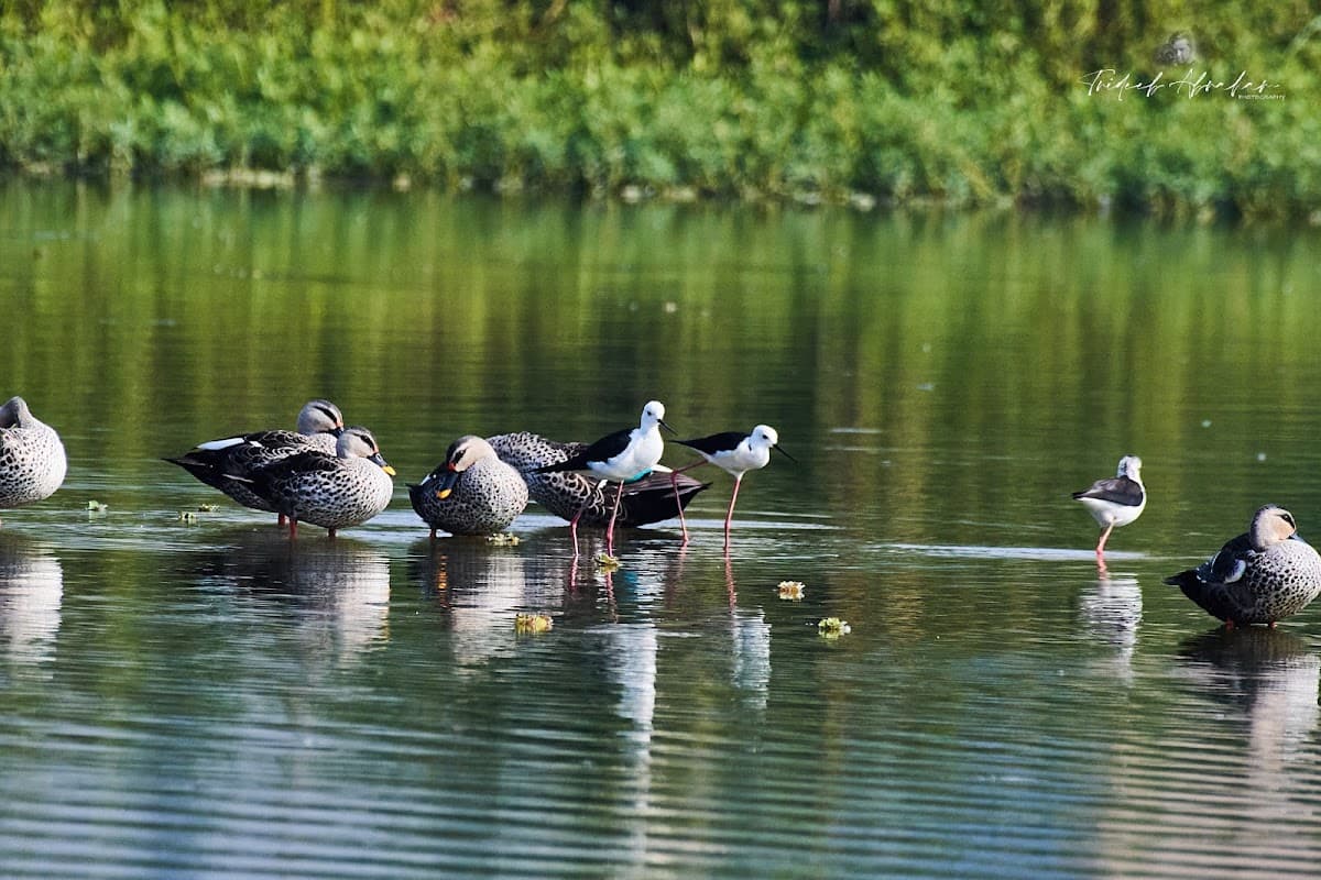 Saul Kere Lake - Photo 4