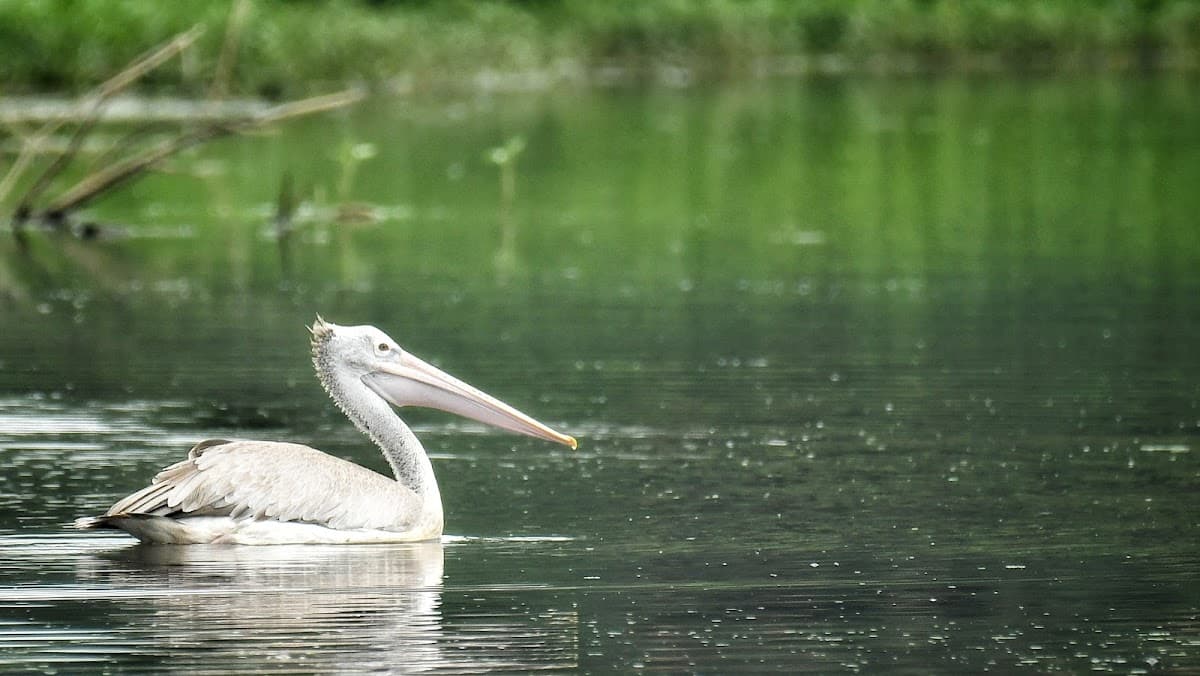 Saul Kere Lake - Photo 5