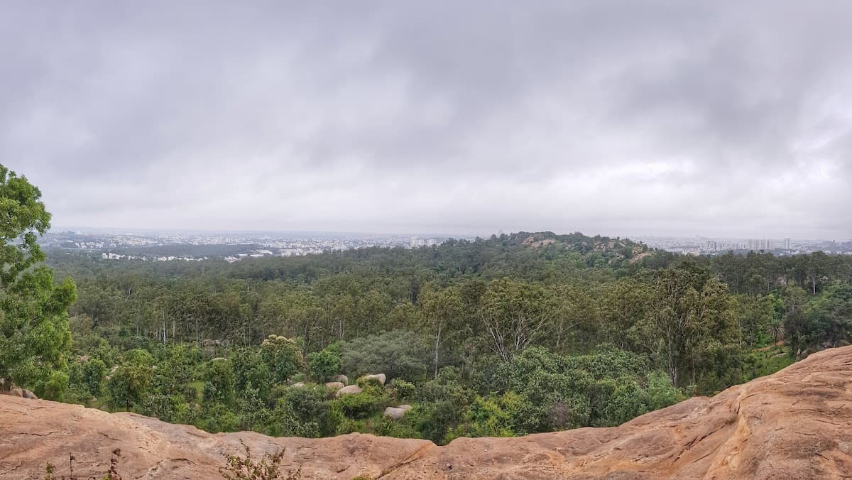 Turahalli Forest - Photo 2