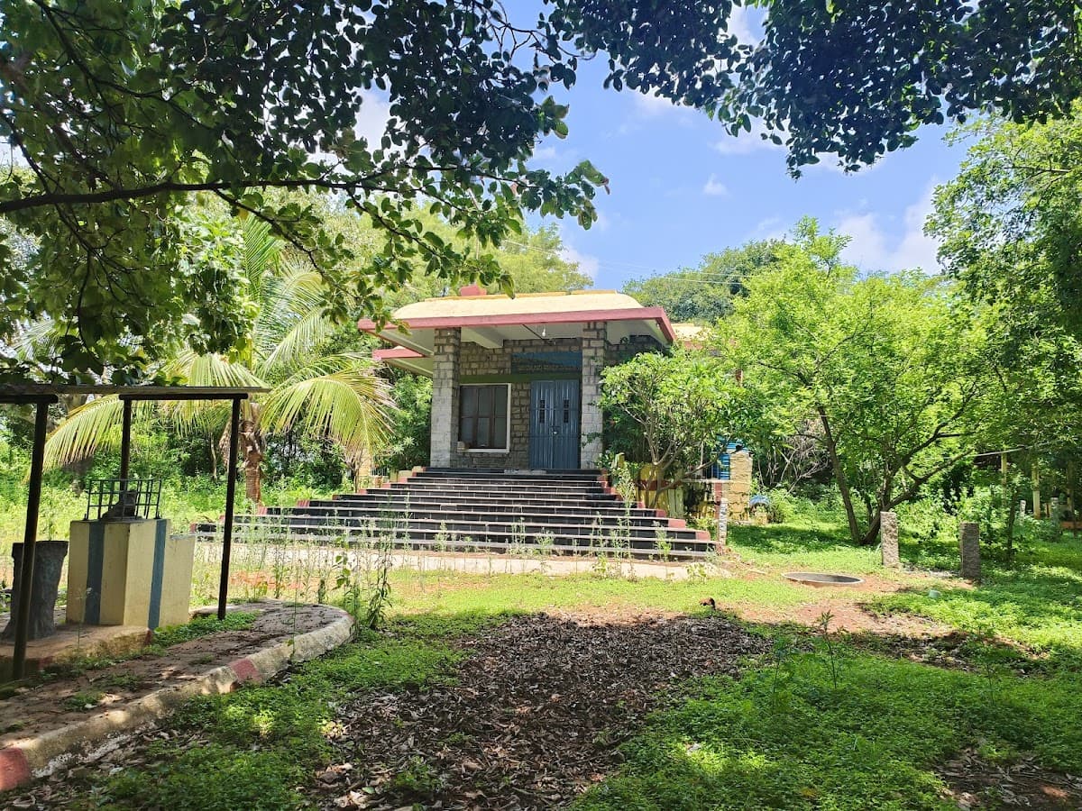 Turahalli Forest - Photo 4