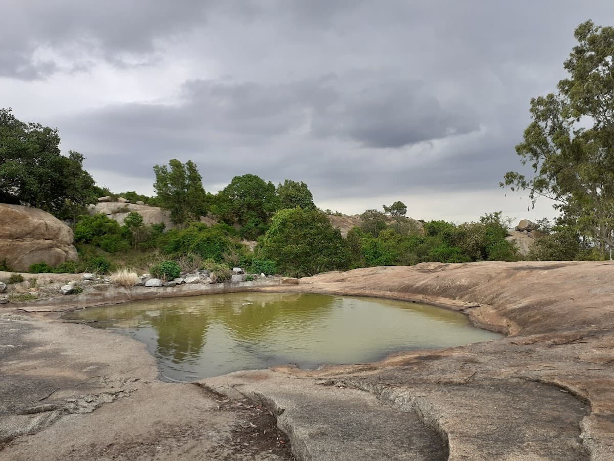 Turahalli Forest - Photo 5