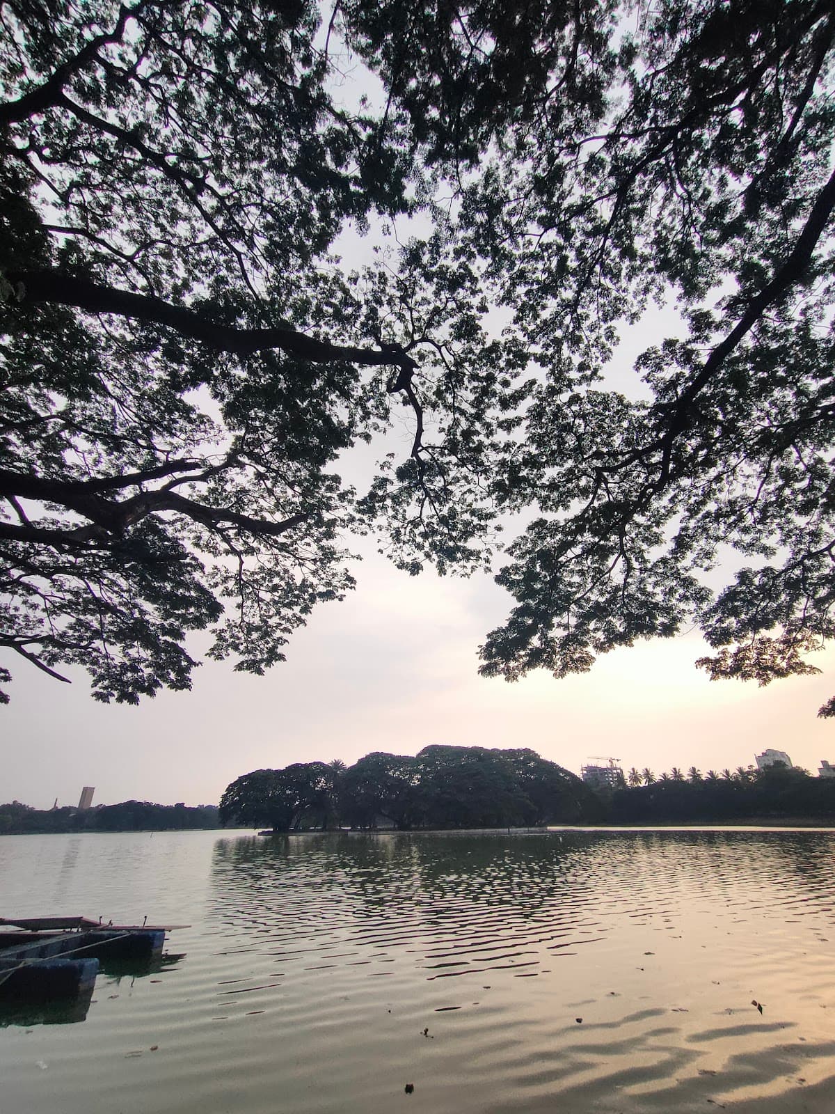 Ulsoor Lake - Photo 3