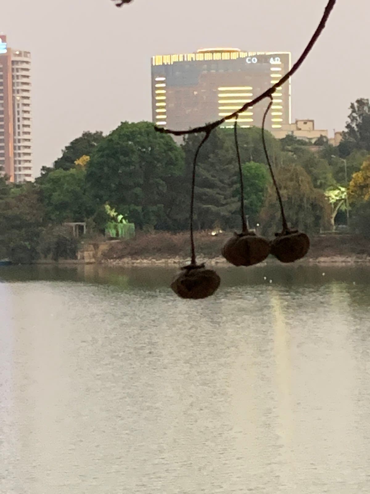 Ulsoor Lake - Photo 6