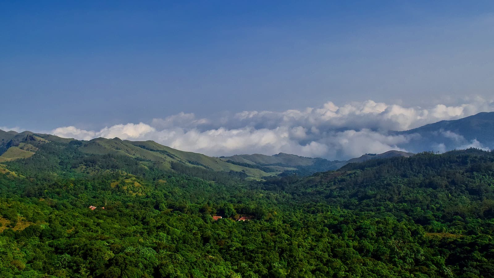Brahmagiri Hills - Photo 1