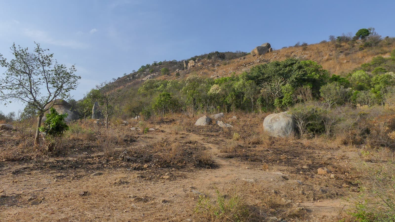 Channagiri Betta - Photo 1