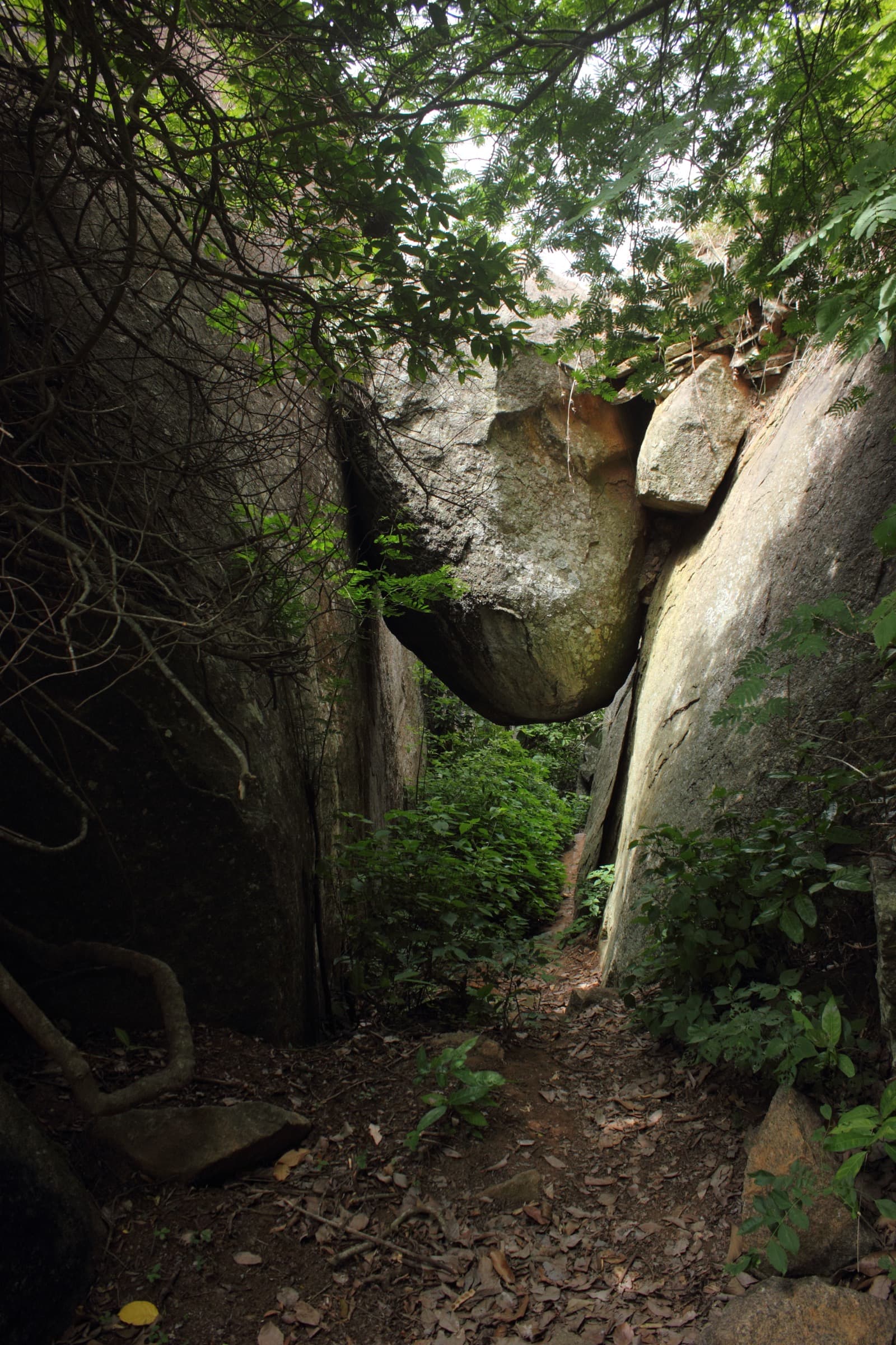 Uttari Betta (Hutridurga) - Photo 2