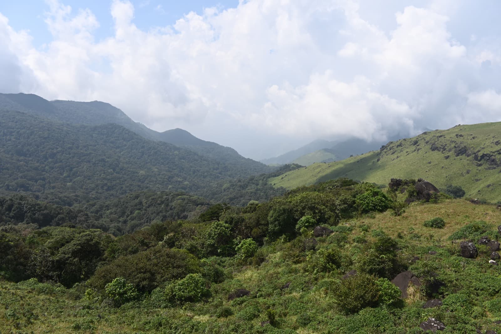 Tadiandamol Peak - Photo 2