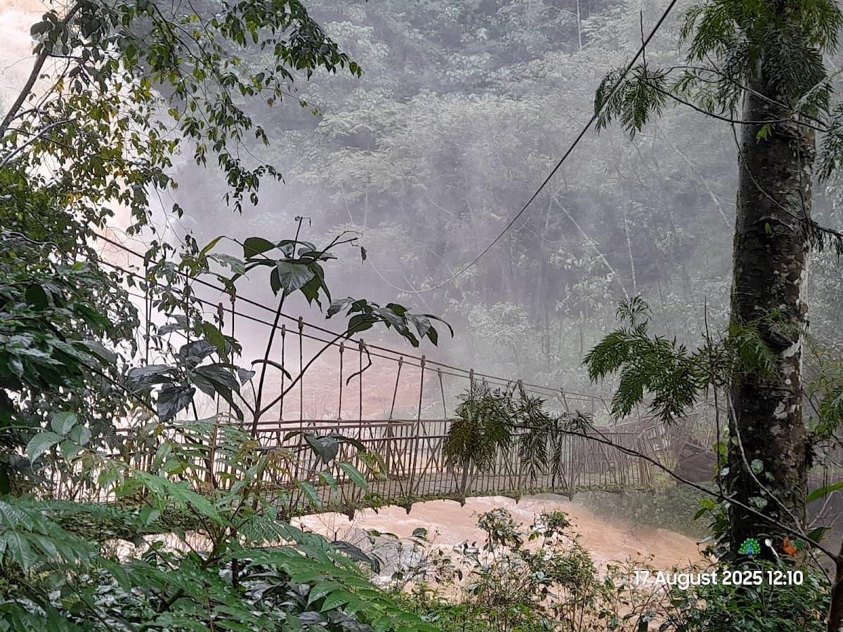 Abbey Falls - Photo 2