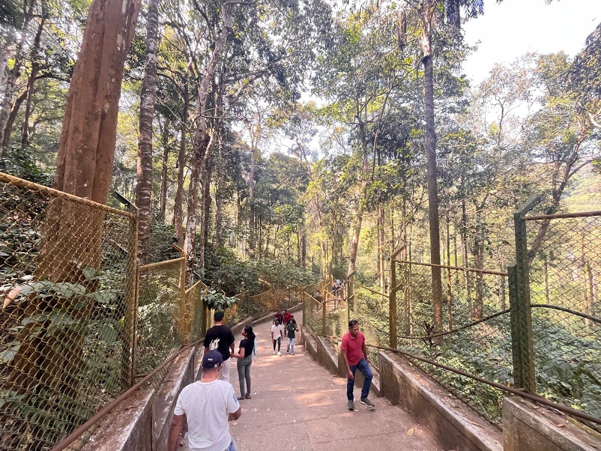 Abbey Falls - Photo 4