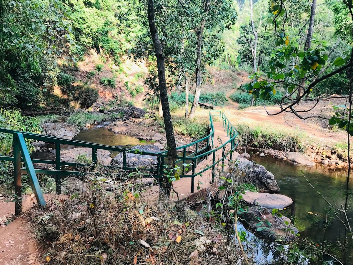 Hebbe Falls - Photo 2