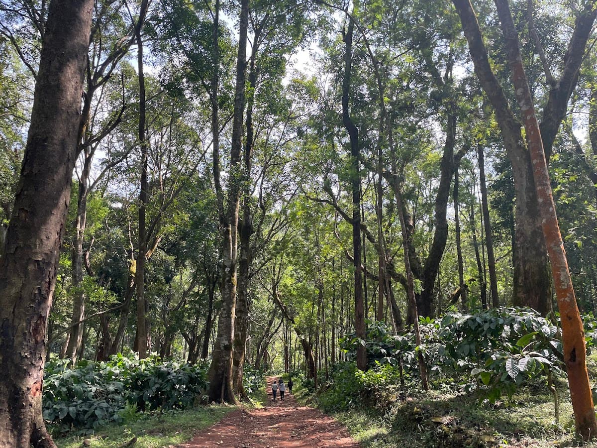 Hebbe Falls - Photo 3