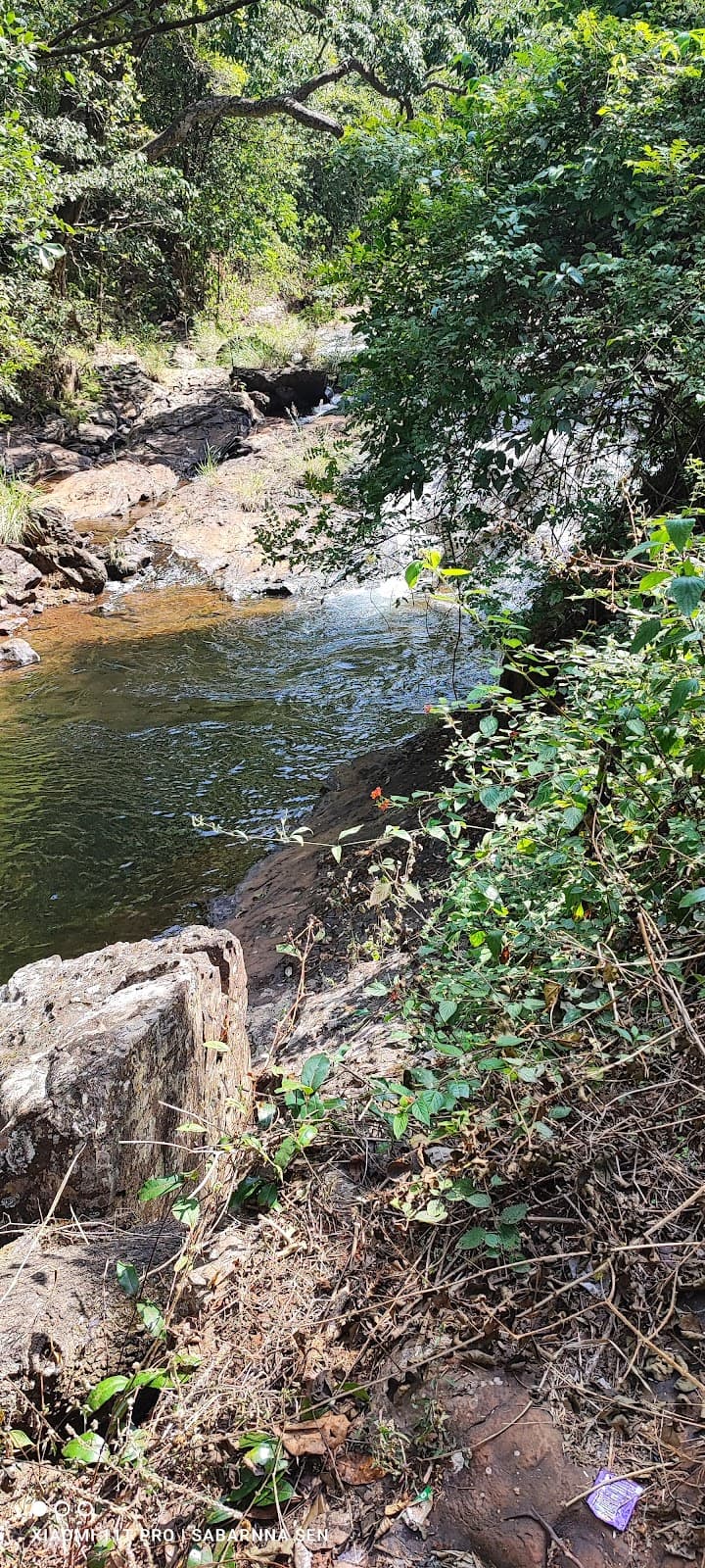 Hebbe Falls - Photo 5