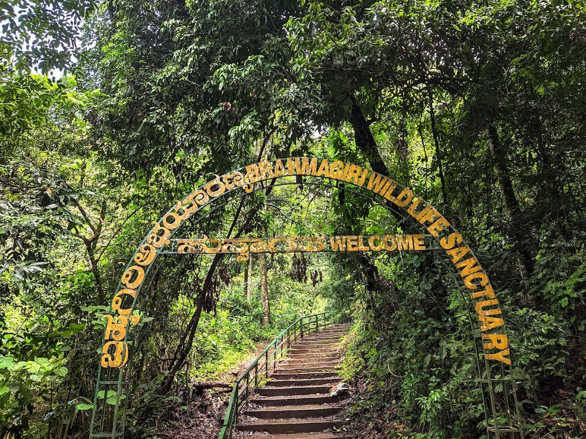 Iruppu Falls - Photo 3