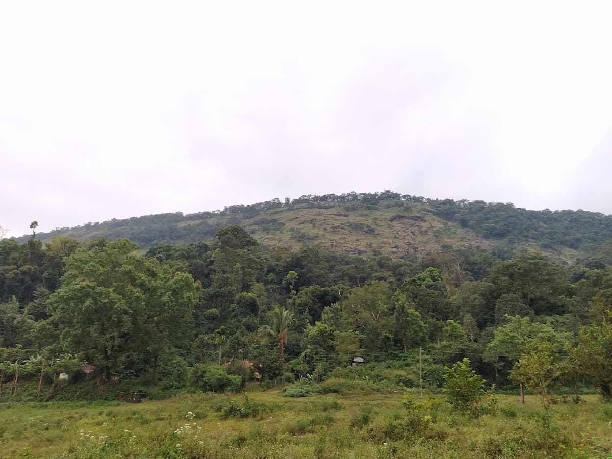 Iruppu Falls - Photo 5