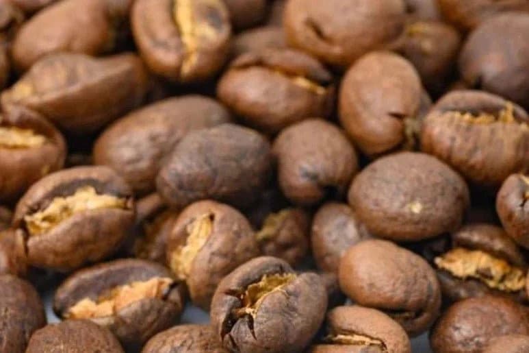 Beanlore Coffee Roasters - Photo 3