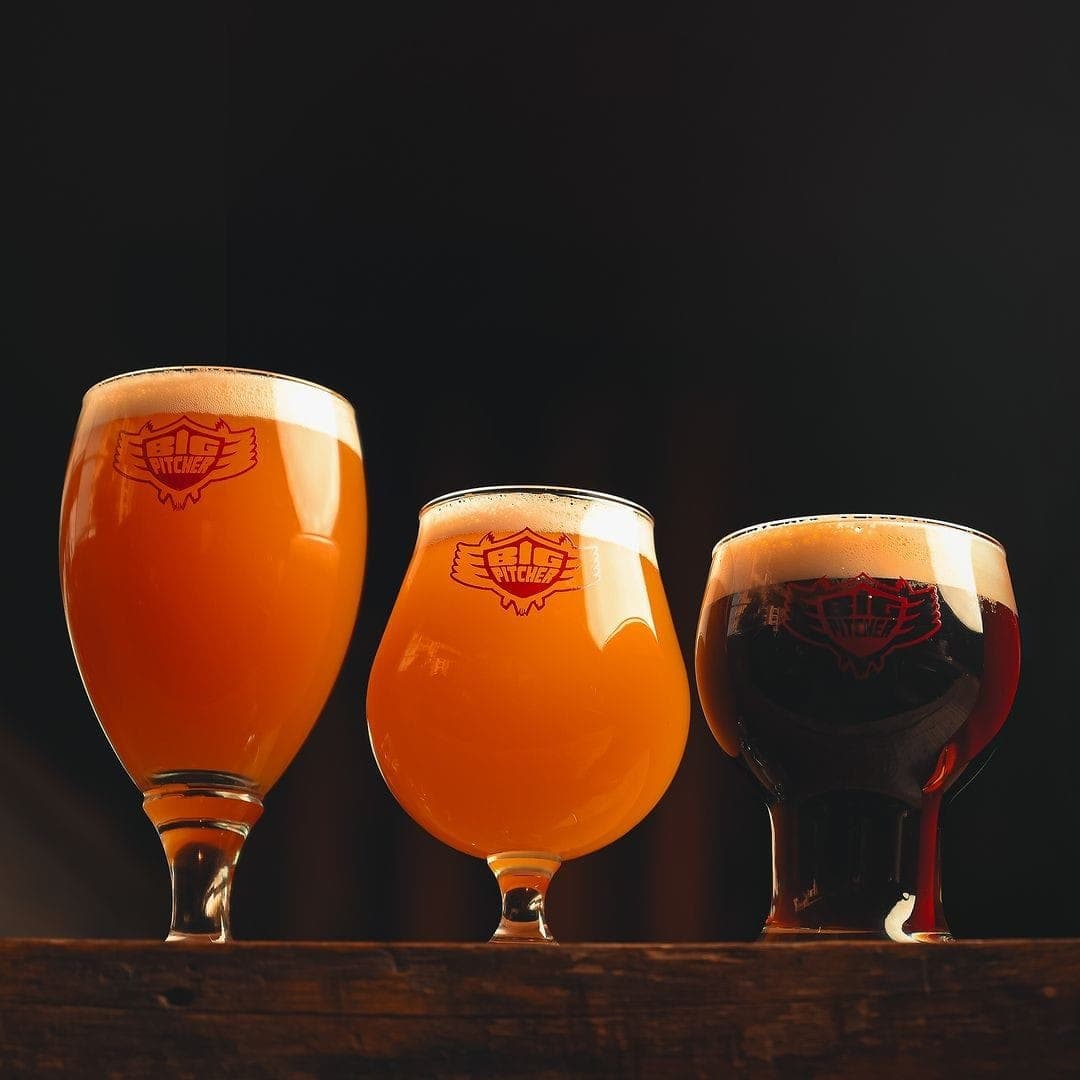 Big Pitcher - Photo 2