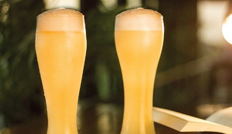 Big Pitcher - Photo 1