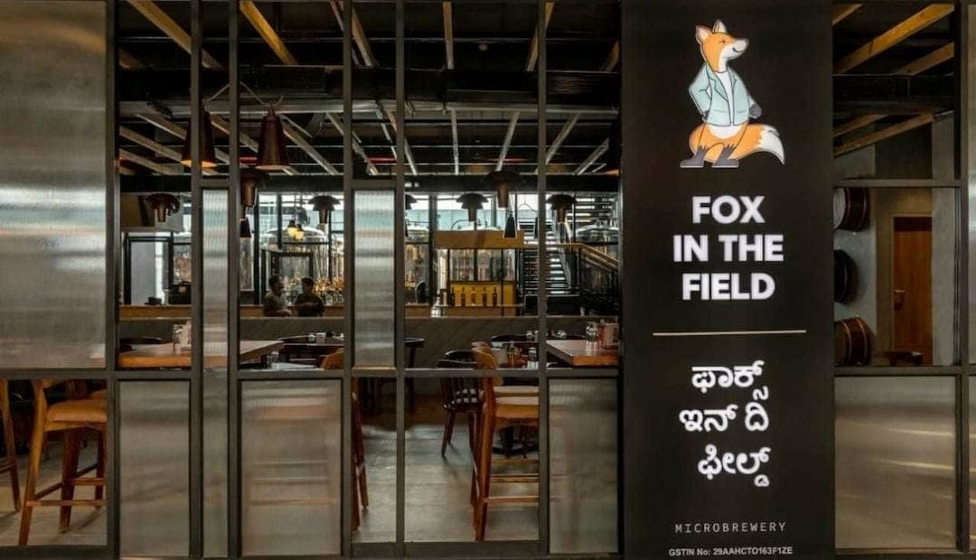 Fox in the Field - Photo 1