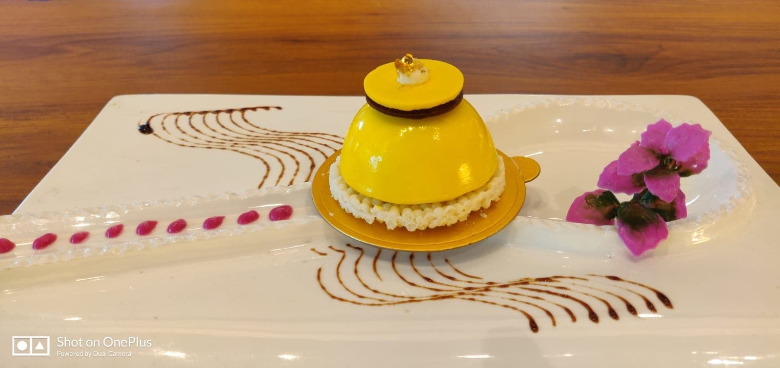 Fox in the Field - Photo 4