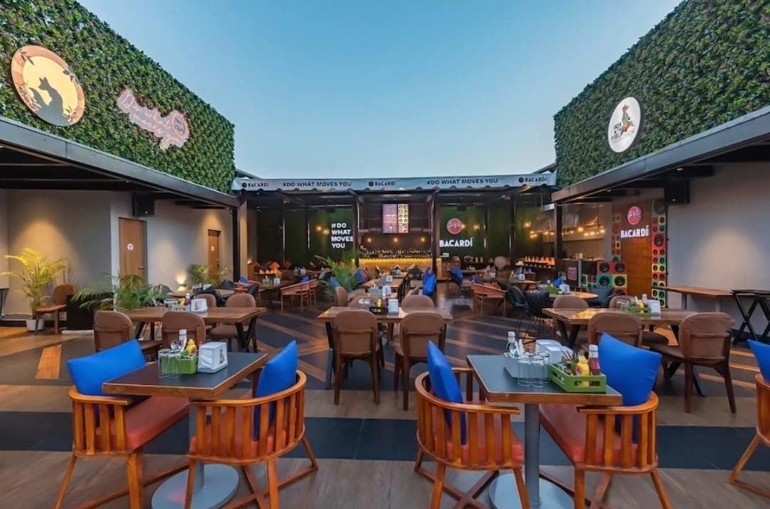 Fox in the Field - Photo 3