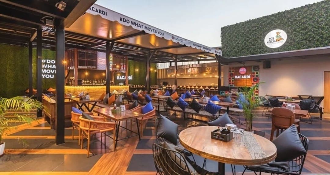 Fox in the Field - Photo 2