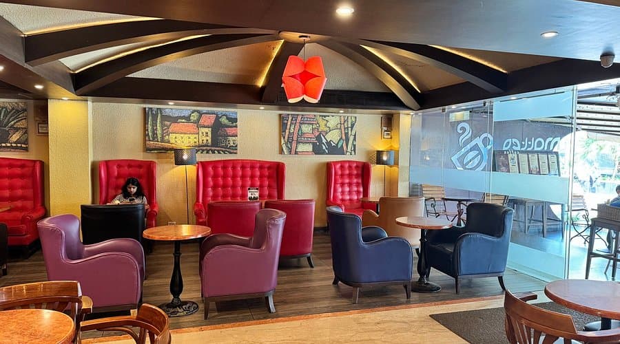 Matteo Coffea - Photo 2